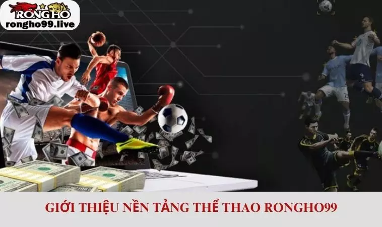 Tìm hiểu về nền tảng thể thao RONGHO99 hấp dẫn